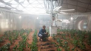 Planting seed on Mars